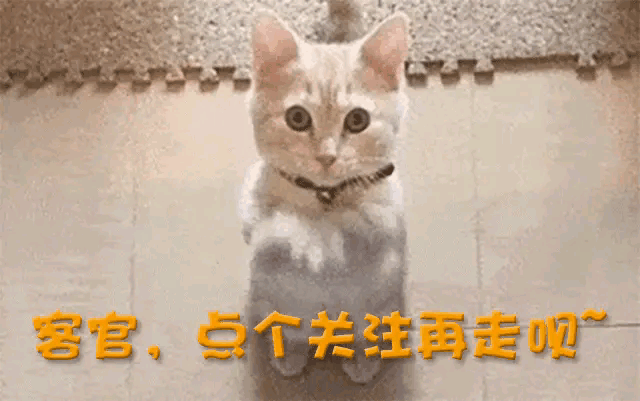 人在做天在看，继释永信事件后，被曝欺诈的王宝强终于扬眉吐气