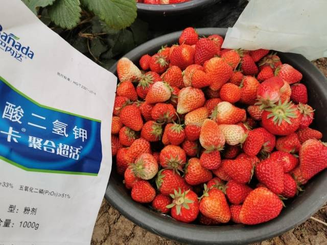 水溶肥价格多少钱一吨？