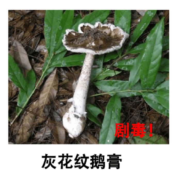 深圳一对夫妻深夜双双入院！一周内12人中招！近期很常见，千万别碰